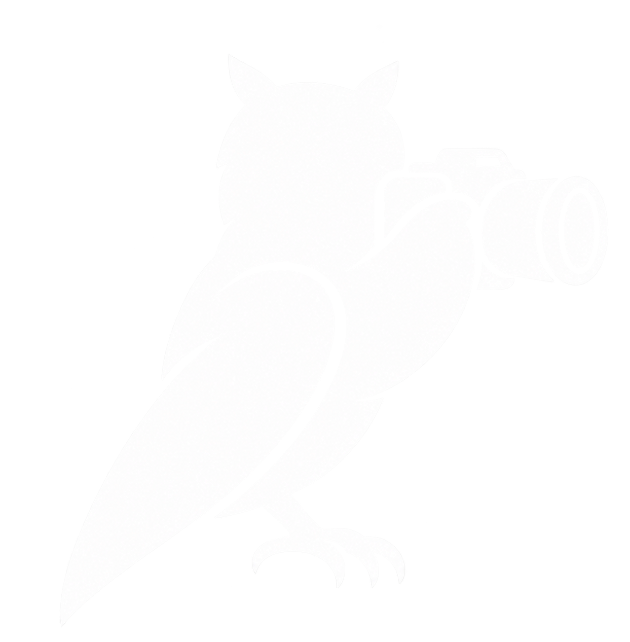 White Club 4 Nocturnals owl holding a camera